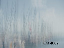 ICM