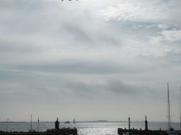 500_0450