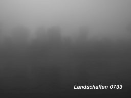 500_0733